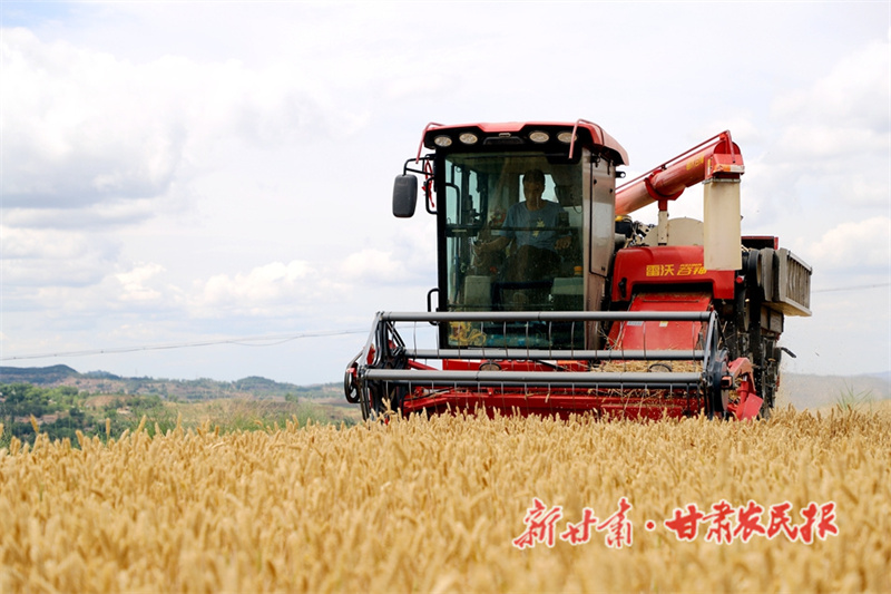 1753792462287952.jpg 1753719632424048054.jpg