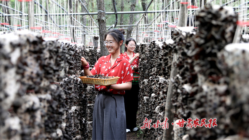 1753792485643488.jpg 1753719644607090509.jpg