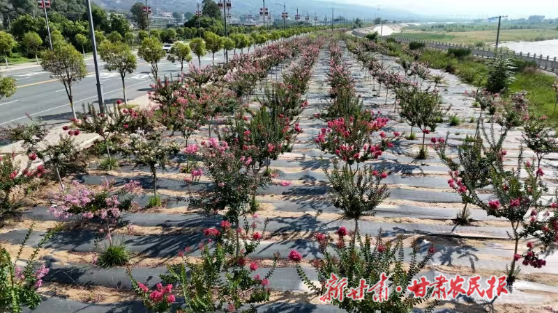 1754397199460591.jpg 1753974272573044841.jpg