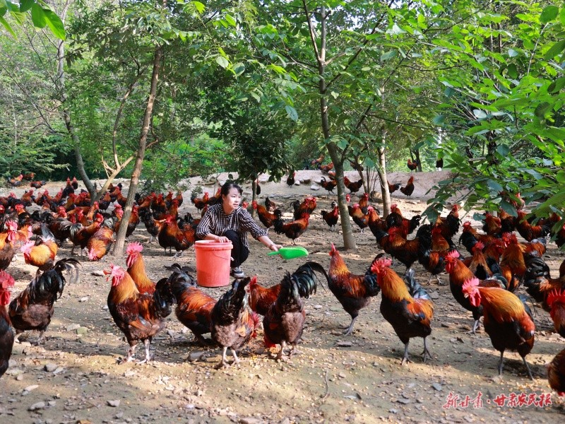 1754534290188107.jpg 微信圖片_2025-08-06_170011_896.jpg