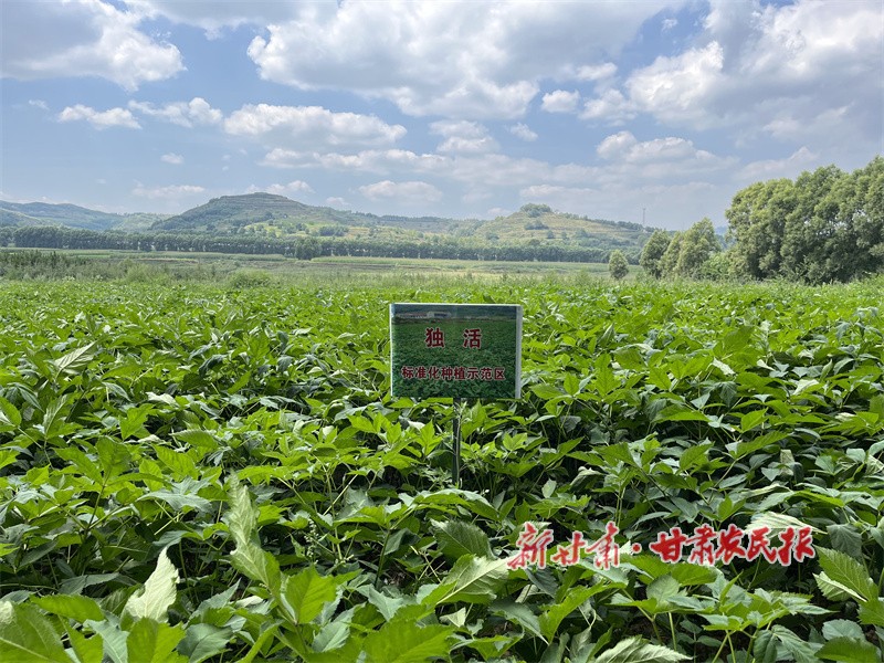 GetAttachment (2).jpg