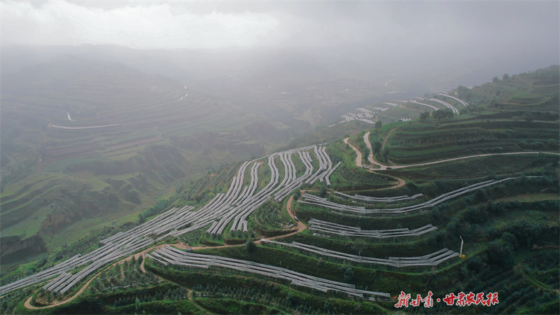 靜寧縣雷大鎮(zhèn)果園