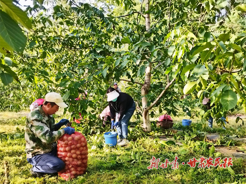 1757920093275556.png 圖片2.png