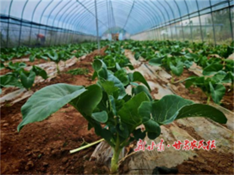 1757930844177669.png 微信圖片_2025-09-13_201247_733.png