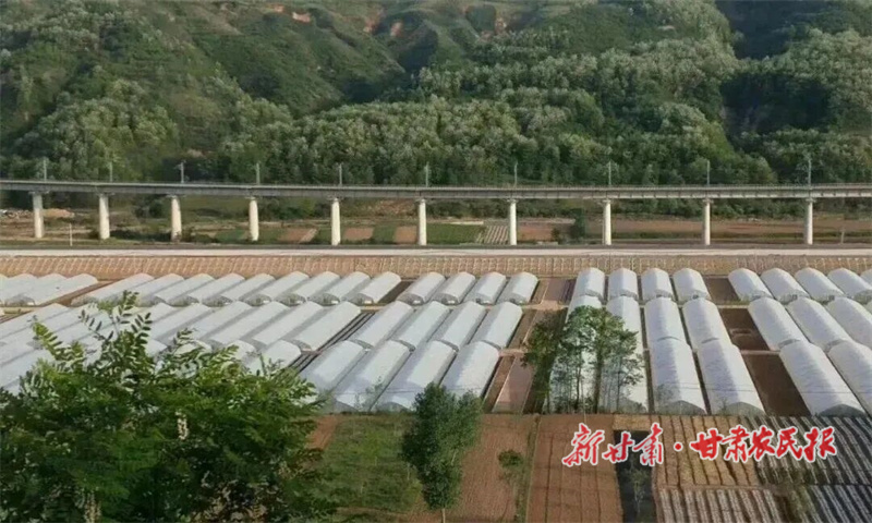 1758110312712859.jpg 1757406421928013342.jpg