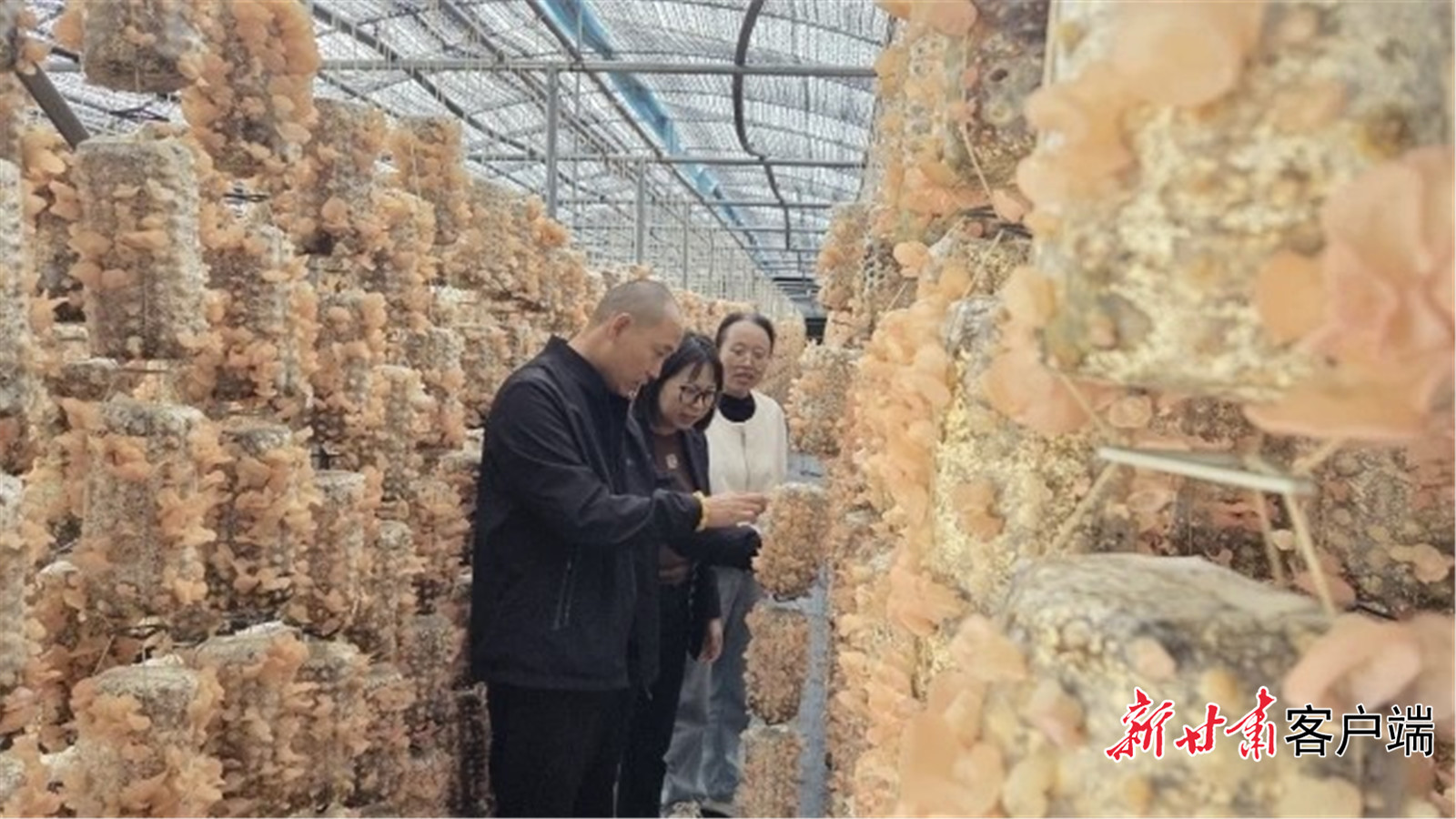 FZ007243806857_A5339450