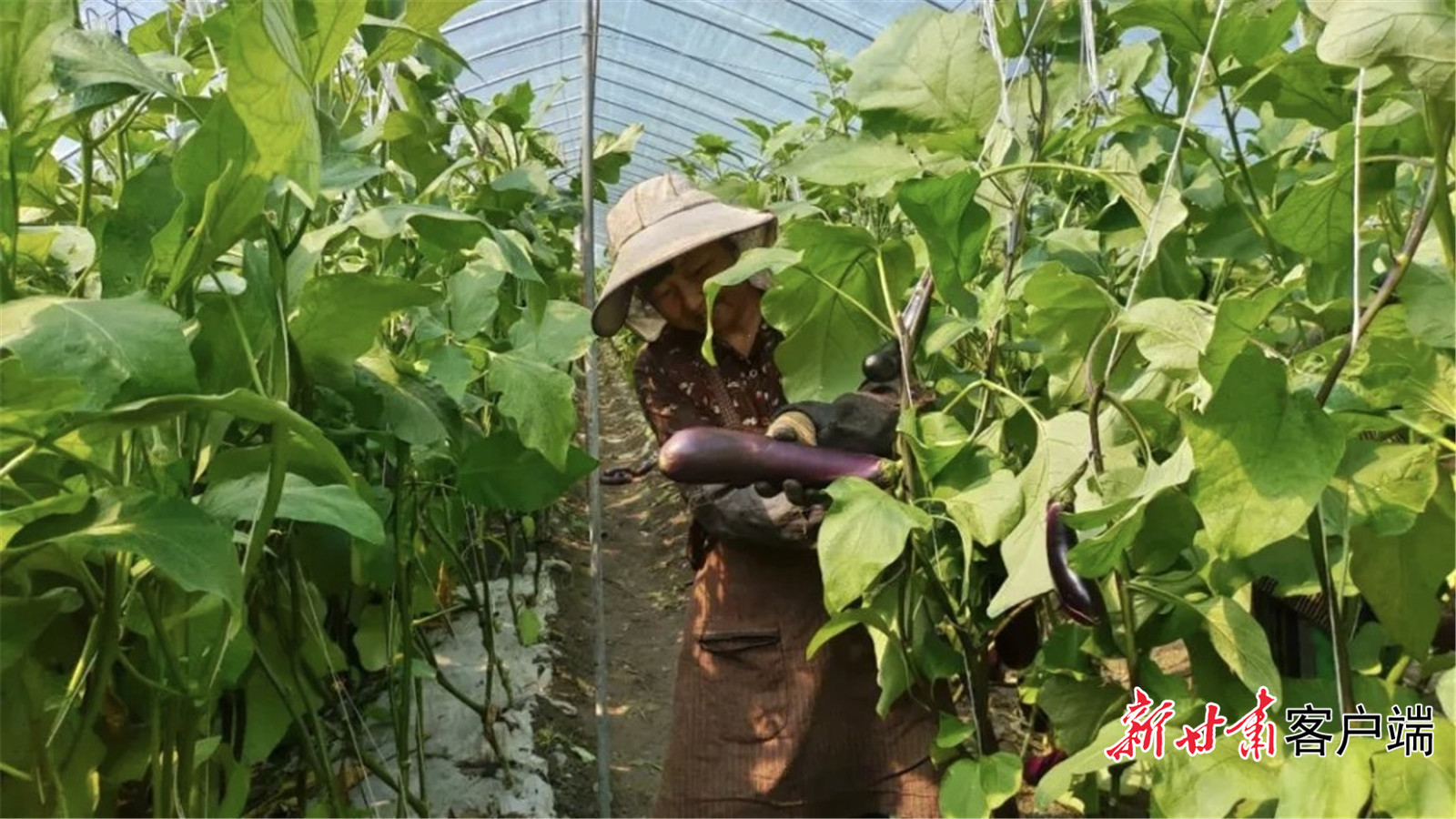 FZ007243806857_A5339450