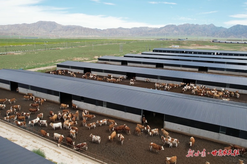 1758508782293701.jpg 微信圖片_20250919160352_47_124.jpg