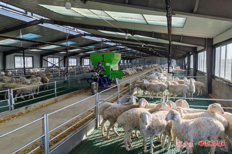 1758508809113211.jpg 微信圖片_20250919160403_48_124.jpg