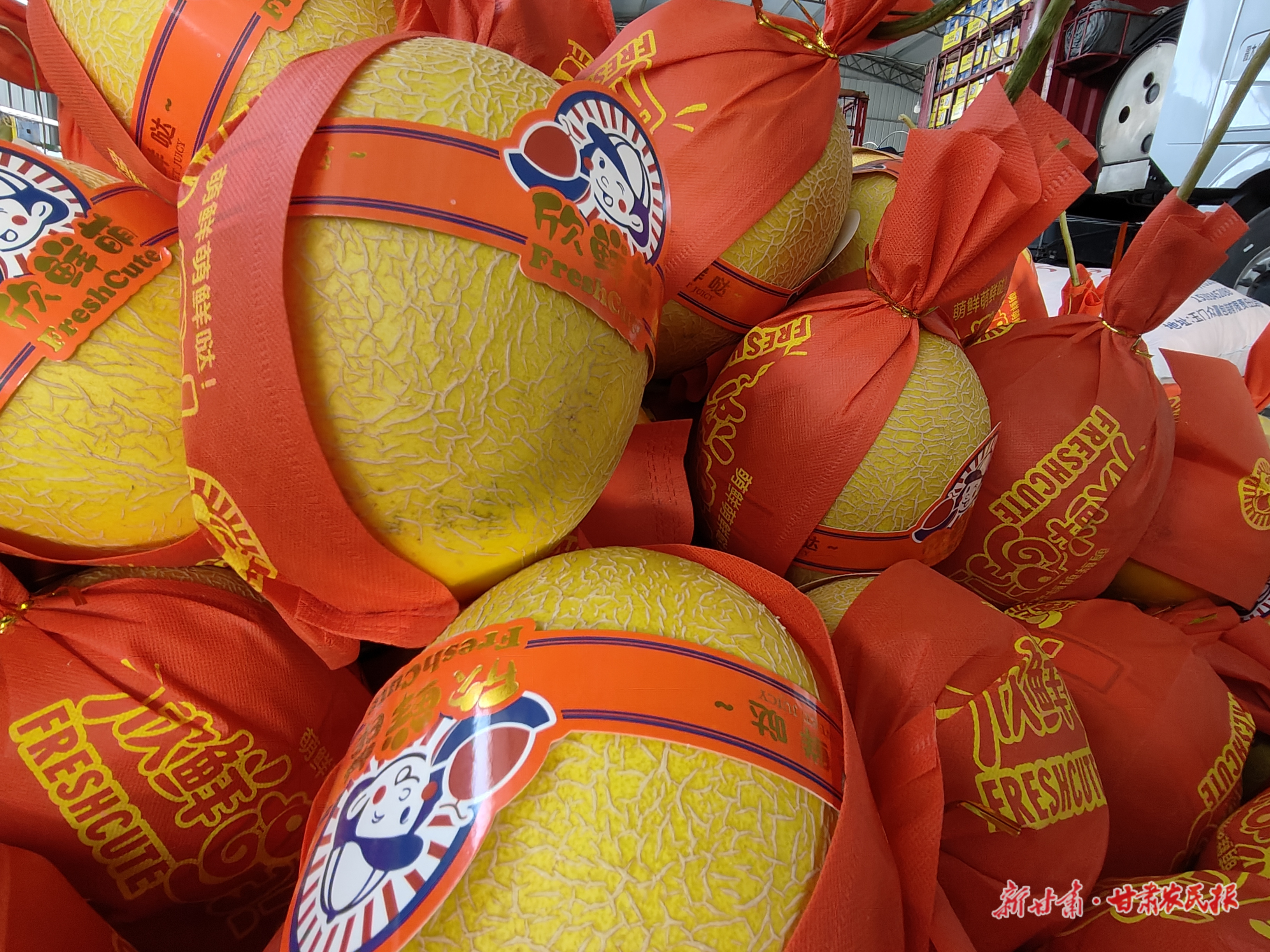 微信圖片_20250919092133_429_71