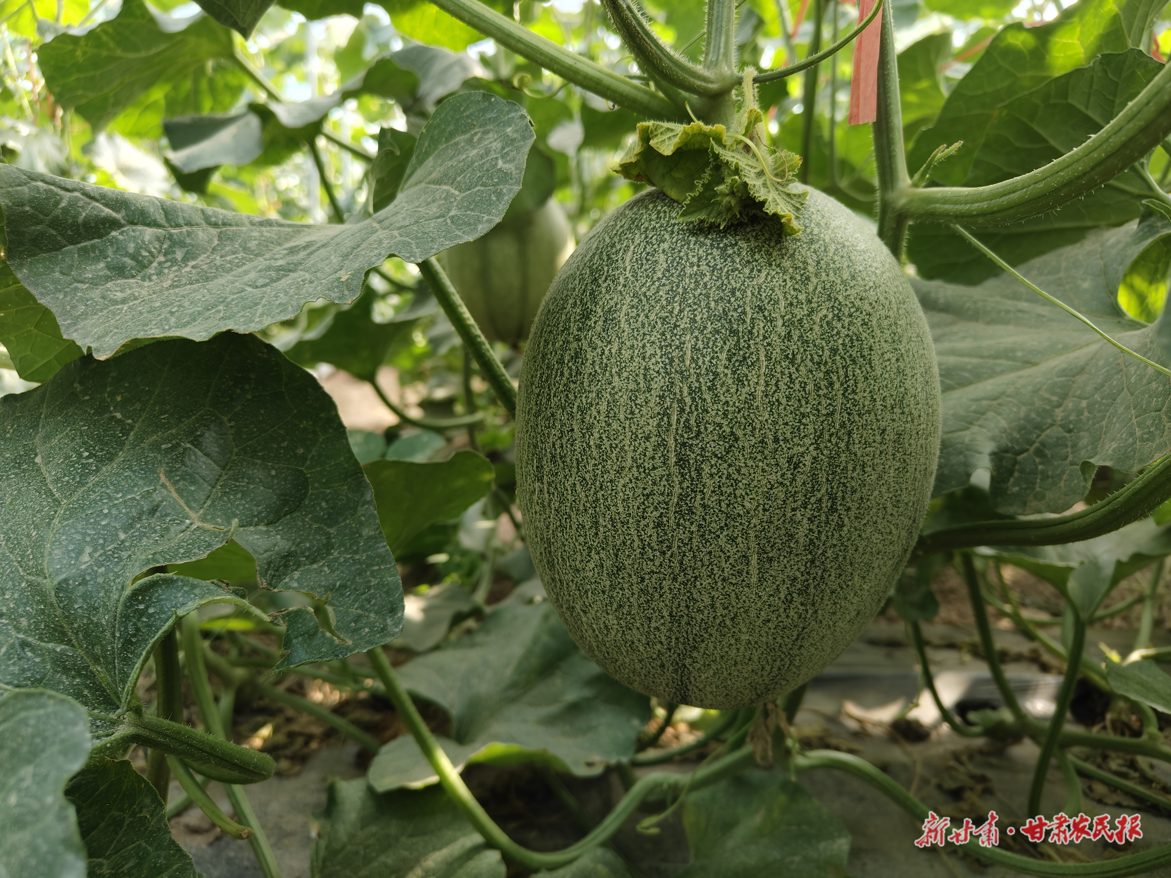 微信圖片_20250919092150_433_71