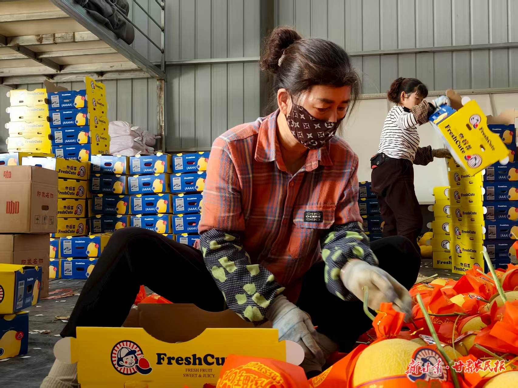 微信圖片_20250919092128_427_71