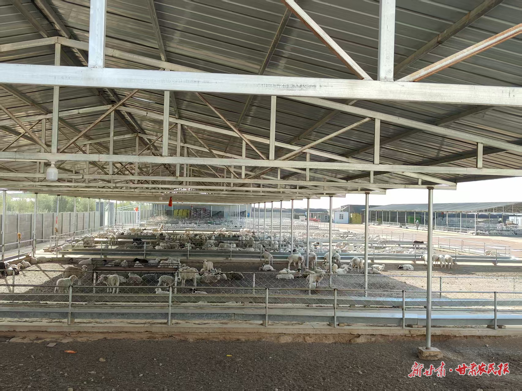 微信圖片_20250919092959_435_71