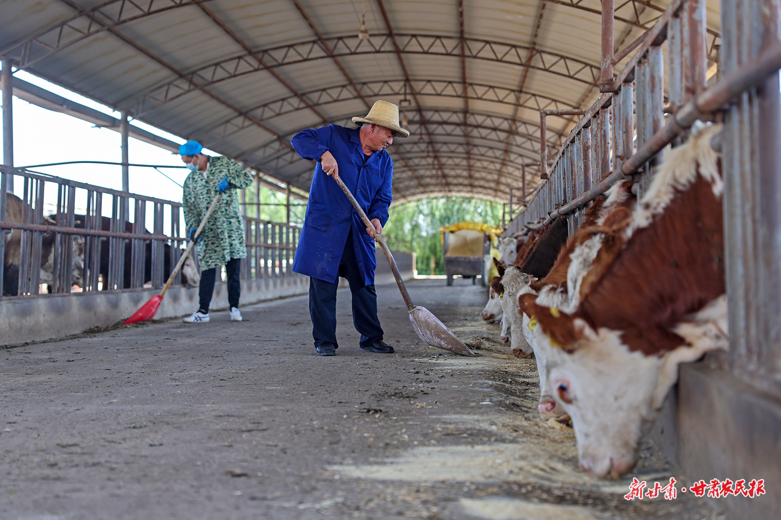 微信圖片_20250922230205_83_8