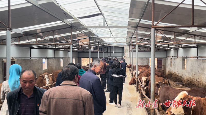 1760100514559718.jpg 微信圖片_20251009160355_162_484.jpg