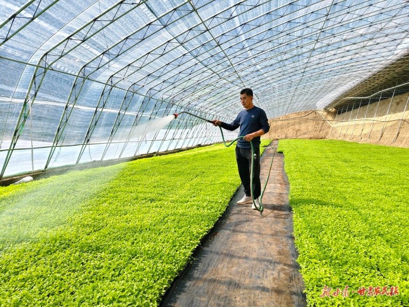 1760148330451381.jpg 微信圖片_20251010153712_119_28.jpg