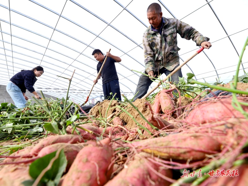 1760149190731763.jpg 微信圖片_20251010164201_114_176.jpg