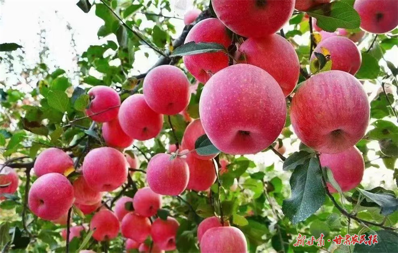 微信圖片_20251009092124