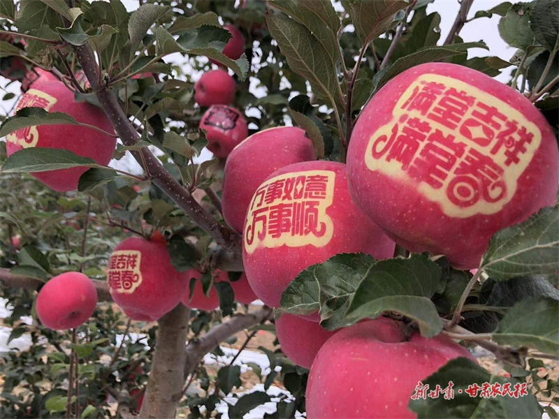 微信圖片_20221014093348