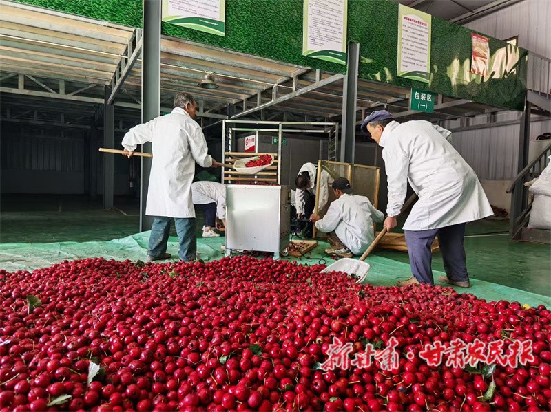 1760682290778629.jpg 1760606780441029382.jpg