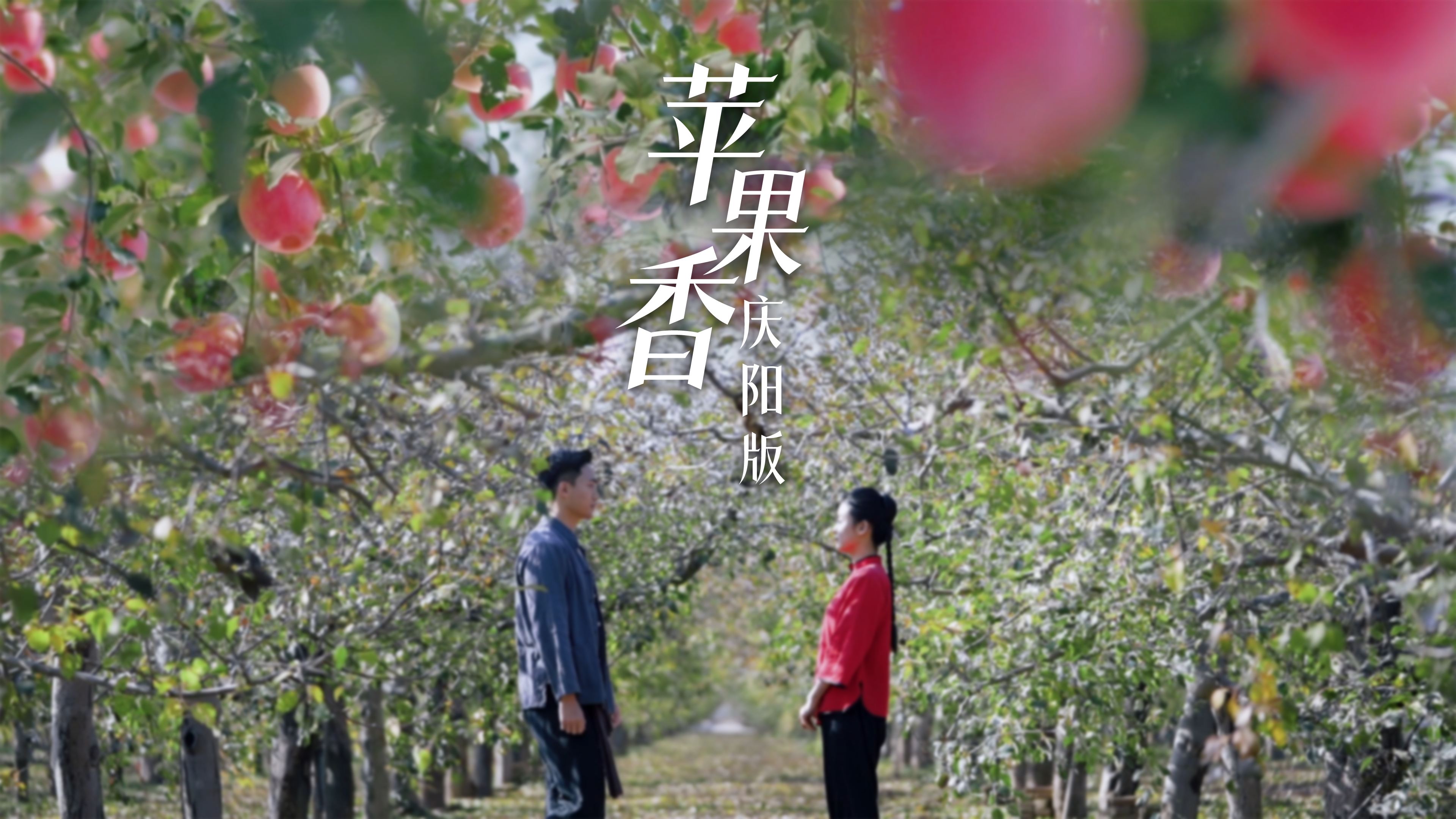 蘋果香慶陽(yáng)版