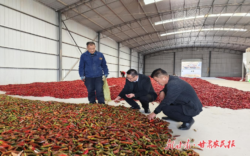 白銀市平川區(qū)：“跨村聯(lián)建”謀發(fā)展 攜手并進(jìn)促振興