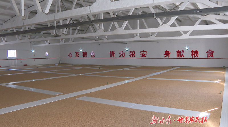 金昌：“黑科技”助力守護(hù)“米袋子”