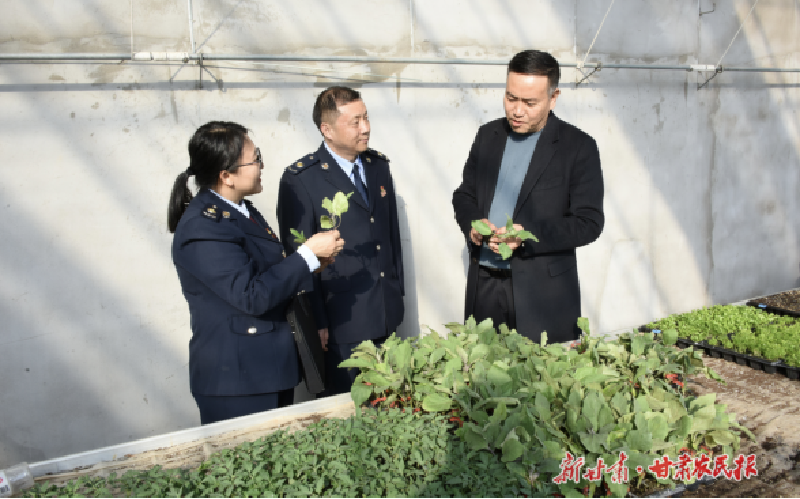 武威：為“菜籃子”注入稅惠“養(yǎng)分”