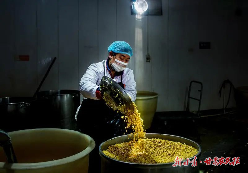 【圖片新聞】天祝：小小豆腐坊“磨”出致富路