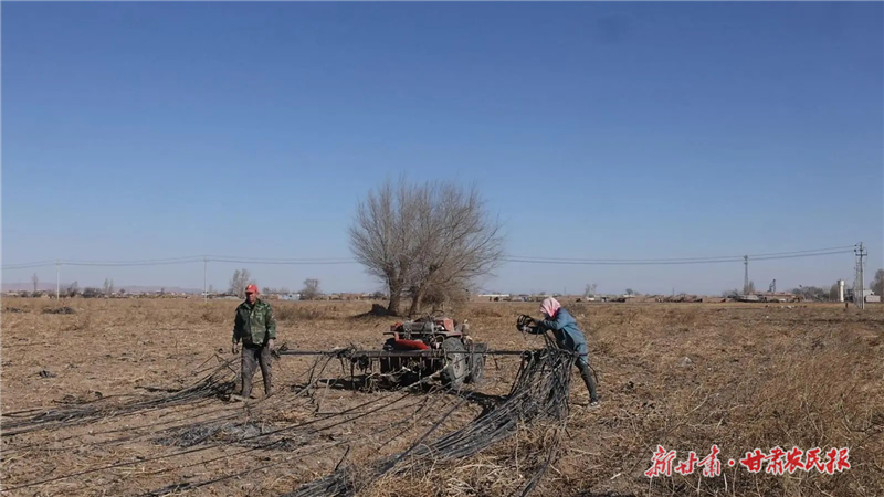 永昌縣：“變廢為寶”廢舊地膜有了“好歸宿”