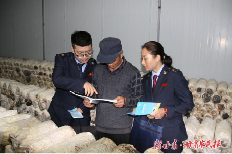 慶陽：以稅惠農(nóng) 鋪就菌菇產(chǎn)業(yè)發(fā)展致富路