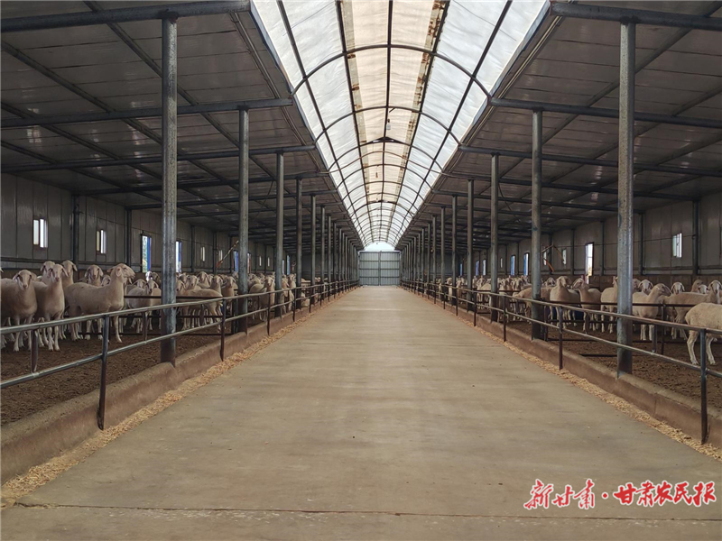 古浪：鞏固脫貧成果 打造和美鄉(xiāng)村