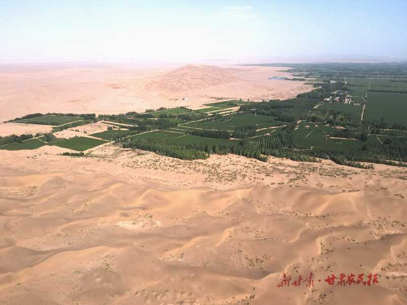 “綠進(jìn)沙退”的臨澤實(shí)踐