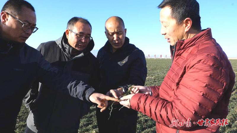 永昌：讓科技特派員的“金手指”在基層發(fā)光