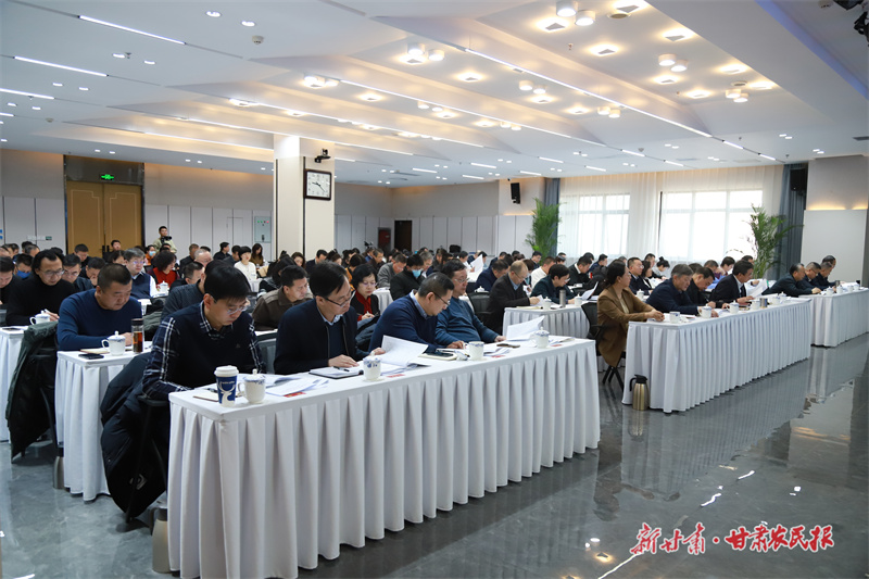 甘肅文旅成果豐碩 多項(xiàng)榮譽(yù)彰顯實(shí)力