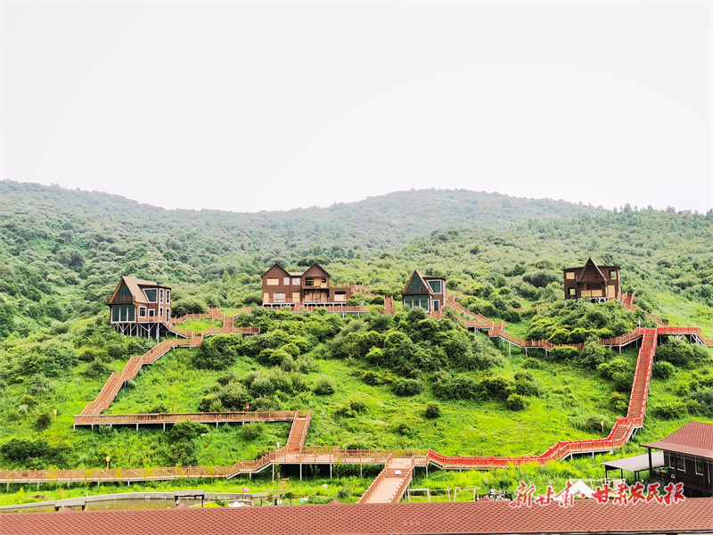 2024年的甘肅文旅，緣何這么“紅”？