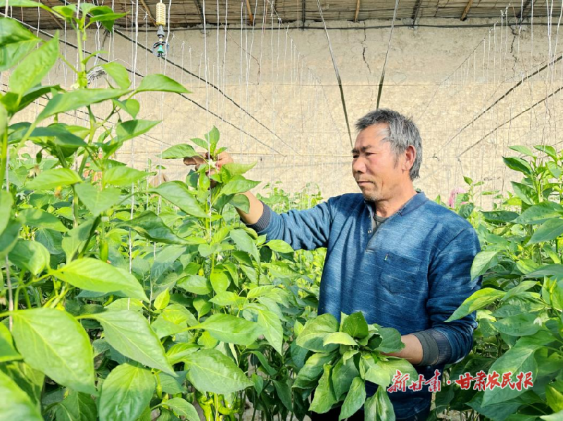 涼州：夯實“三農(nóng)”基礎 推進鄉(xiāng)村振興