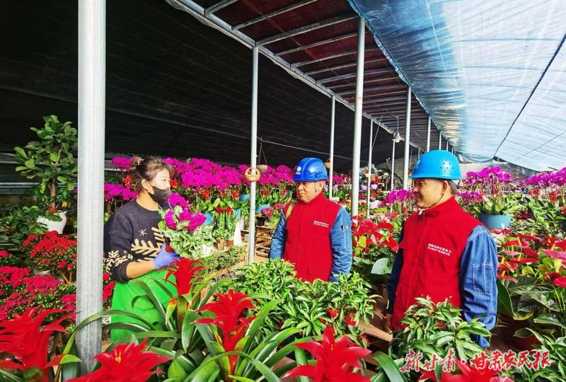 涼州：春節(jié)保電護航花卉產(chǎn)業(yè)