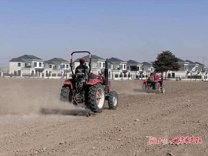 古浪：集約化生產(chǎn)激發(fā)鄉(xiāng)村振興新“動能”