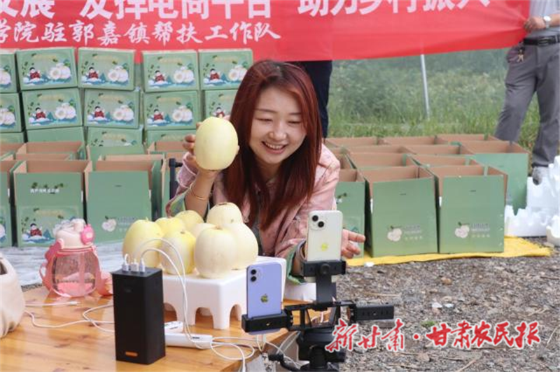 秦安縣：“電商+幫扶”雙輪驅(qū)動(dòng)白脆瓜銷(xiāo)售“出圈”

