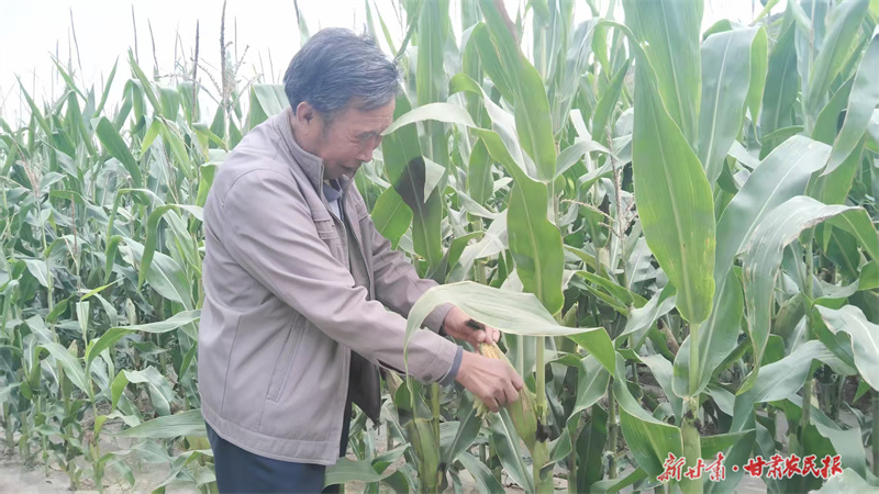 靜寧：“五良”融合激發(fā)旱作農(nóng)業(yè)新活力