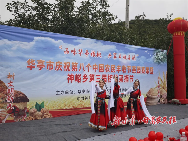 華亭：金秋核桃香滿山 采摘節(jié)里慶豐年