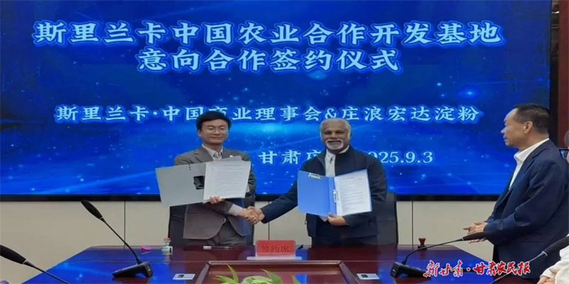 莊浪馬鈴薯全產(chǎn)業(yè)鏈優(yōu)勢贏得國際訂單
