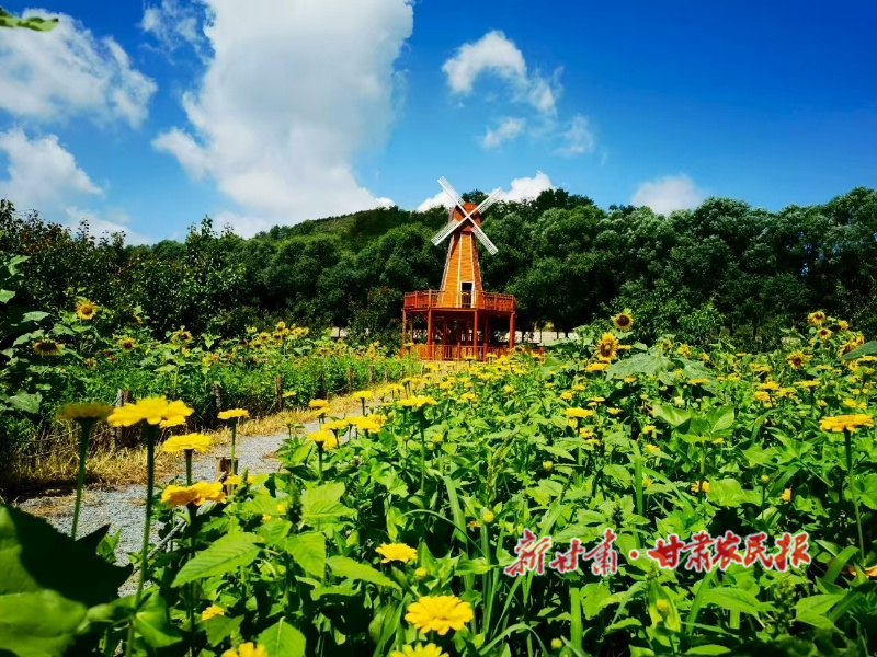 華亭：魅力大南峪別樣風(fēng)景美如畫