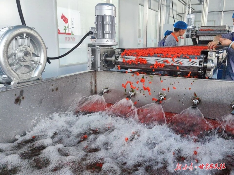 一位“90后”新農(nóng)人的致富秘籍
