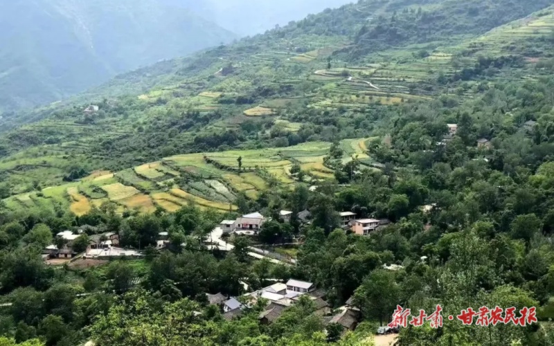 從“一葉小舢板”到“產(chǎn)業(yè)聯(lián)合艦”——康縣平洛鎮(zhèn)跨村聯(lián)建打造鄉(xiāng)村振興“新航道”