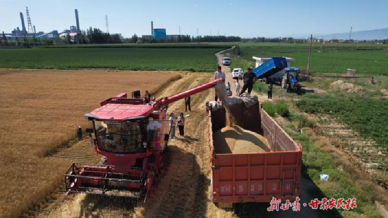 涼州：糧穩(wěn)業(yè)興鄉(xiāng)村美 生態(tài)農(nóng)業(yè)繪新卷