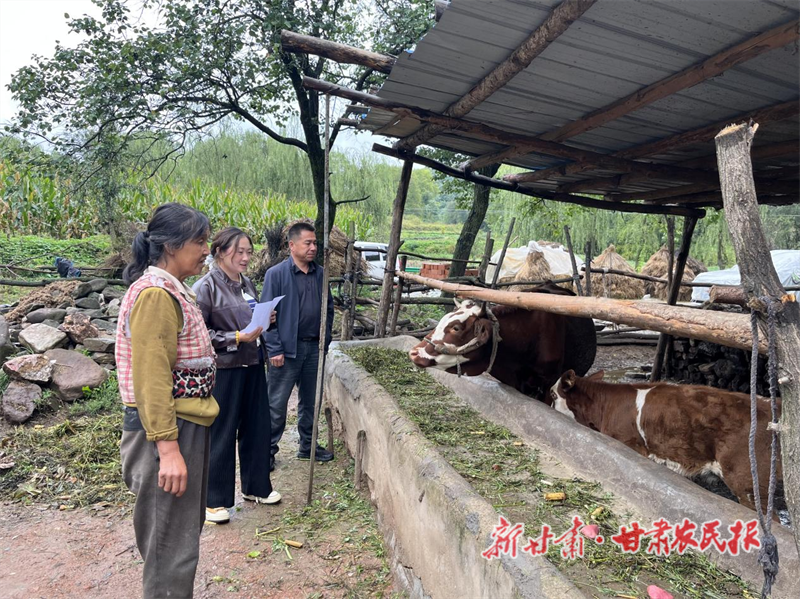 華亭：政策賦能 肉牛產(chǎn)業(yè)蓬勃發(fā)展