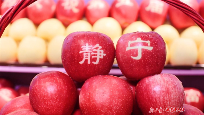 靜寧蘋(píng)果的“重量”