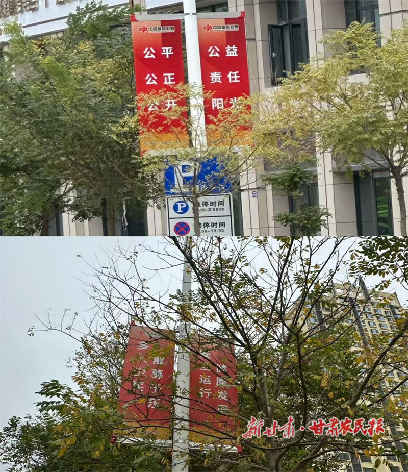 點亮公益路 福彩暖人心——嘉峪關福彩在市內多路段布置宣傳道旗